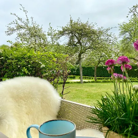 شقة Brise Gartenhaus Brunnenstrasse App 05 هيرينجسدورف